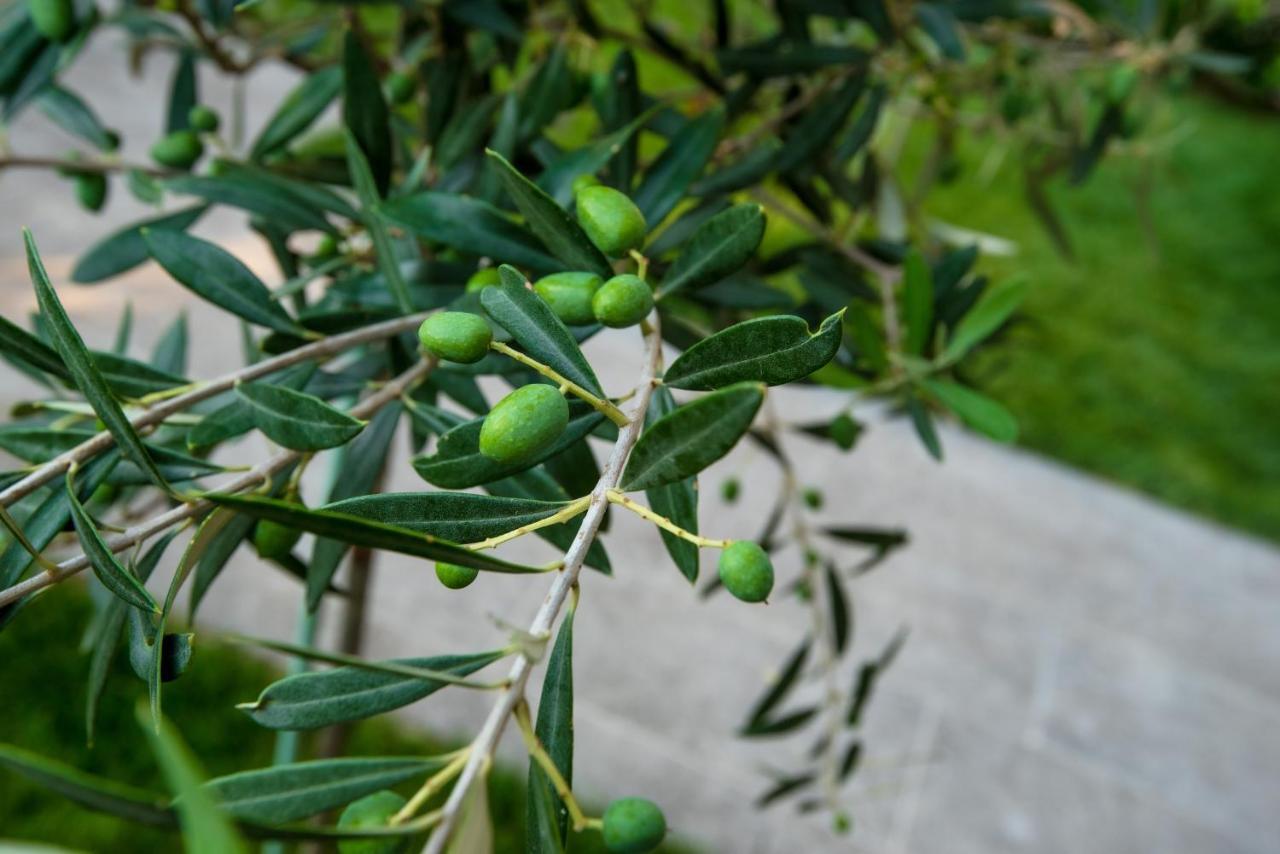 Olive 101 Apartment Peraia  Luaran gambar